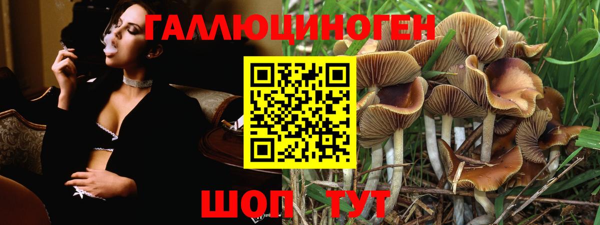 А ПВП Дзержинск