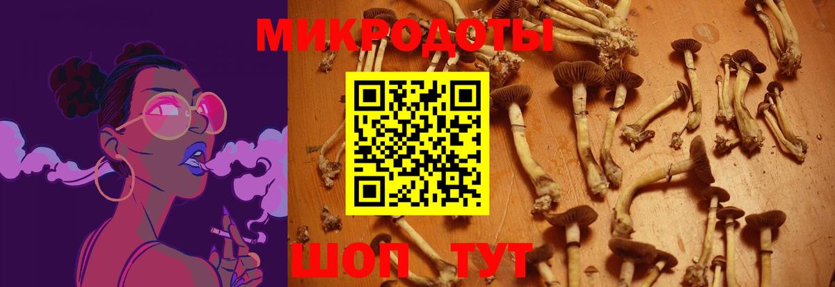 Псилоцибиновые грибы Psilocybe  Вход с VPN  Дзержинск  Галлюциногенные грибы прущие грибы 